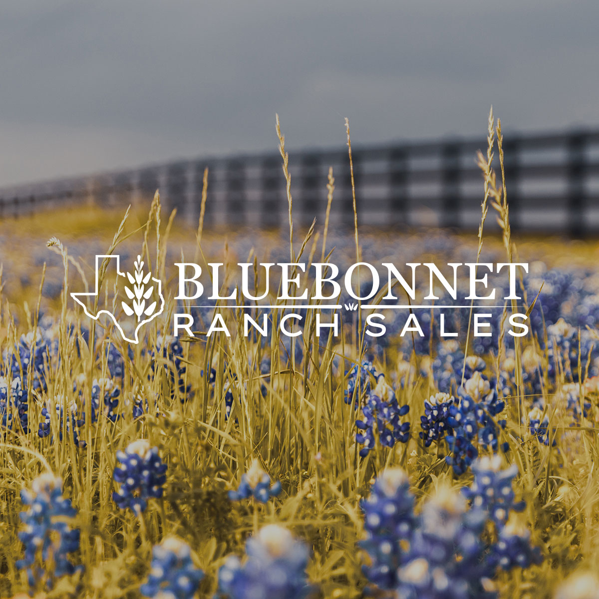 San Diego Creek Ranch Ranches for Sale Ranch Sales